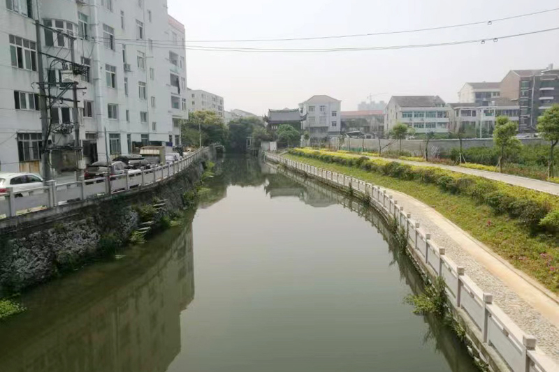 嘉县乌牛街道皮服城河道（芦池河）治理工程